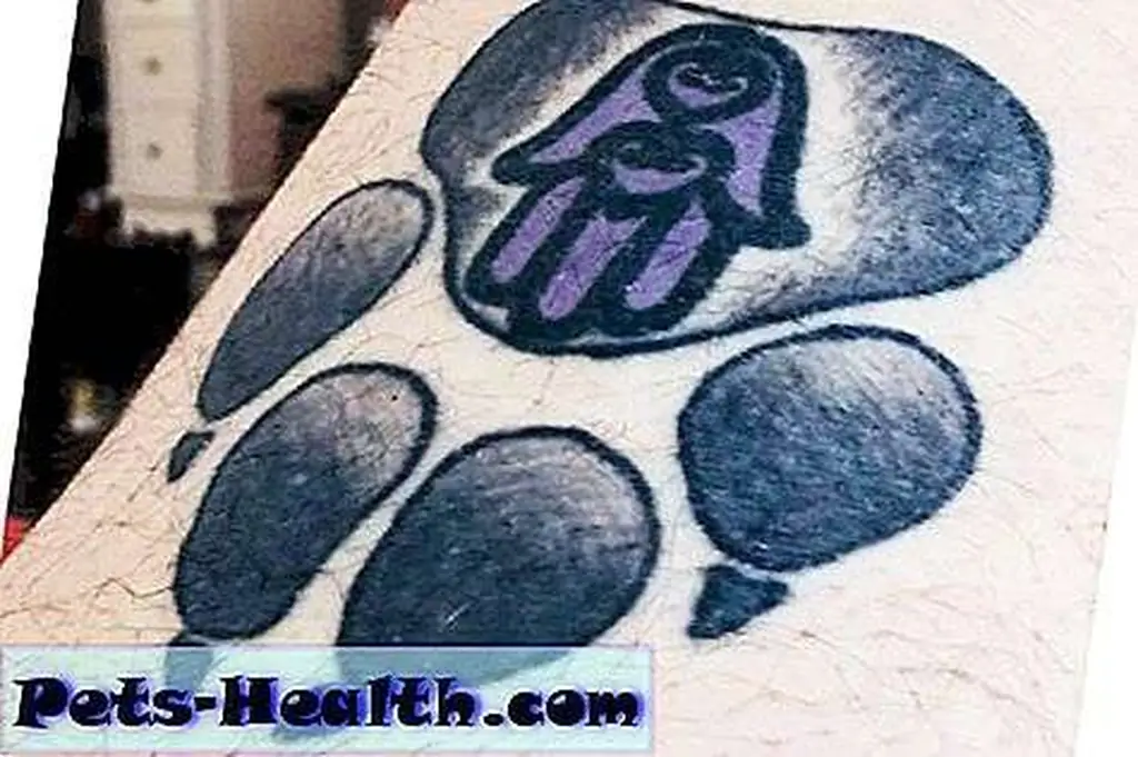 Image Image