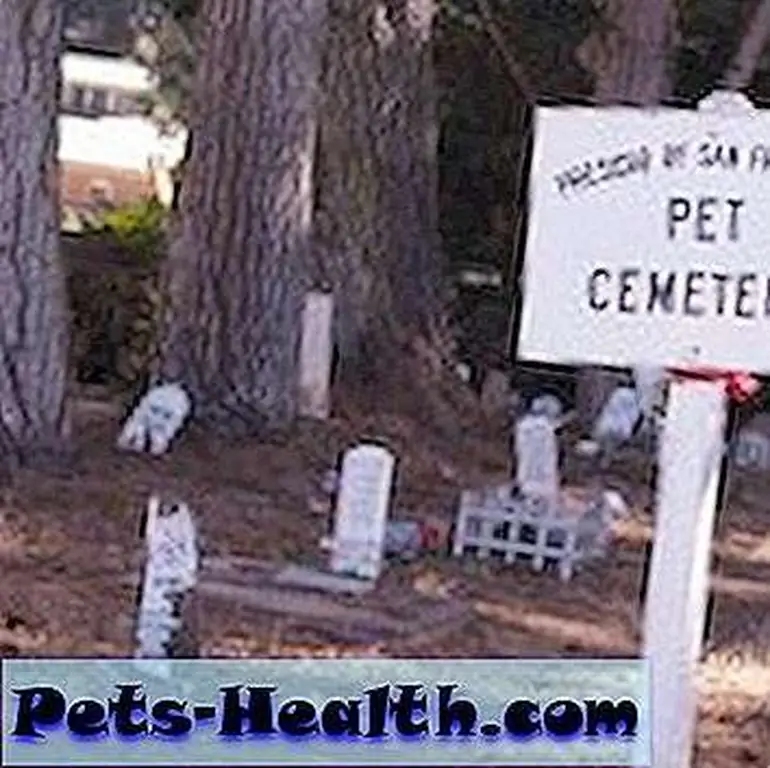 Pet_Cemetery_-San_Francisco-3