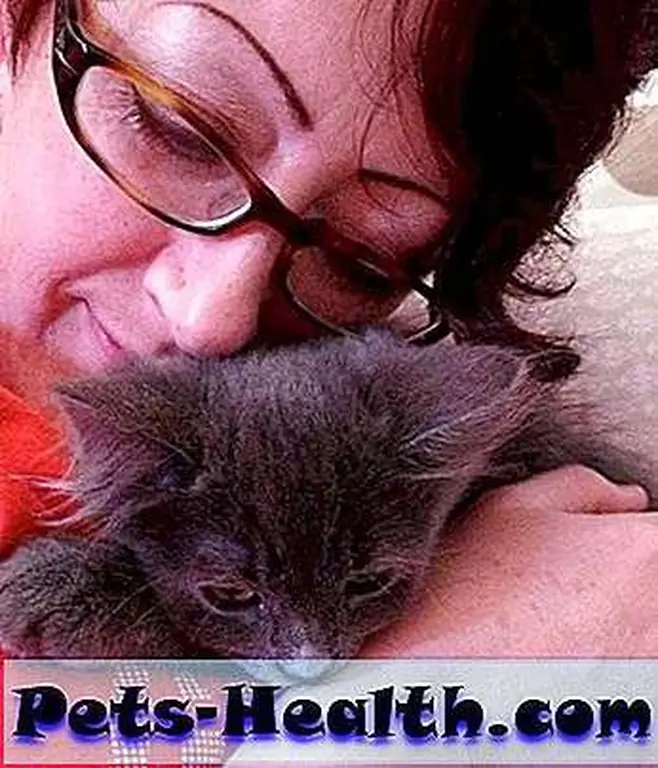 Me with foster kitten Hagrid. (Photo by Kezia Willingham) Me with foster kitten Hagrid. (Photo by Kezia Willingham)