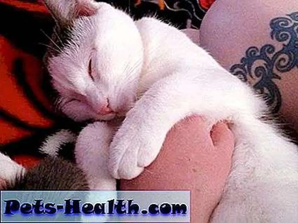 Luna snuggled up with me. (Photo by Kezia Willingham) Luna snuggled up with me. (Photo by Kezia Willingham)
