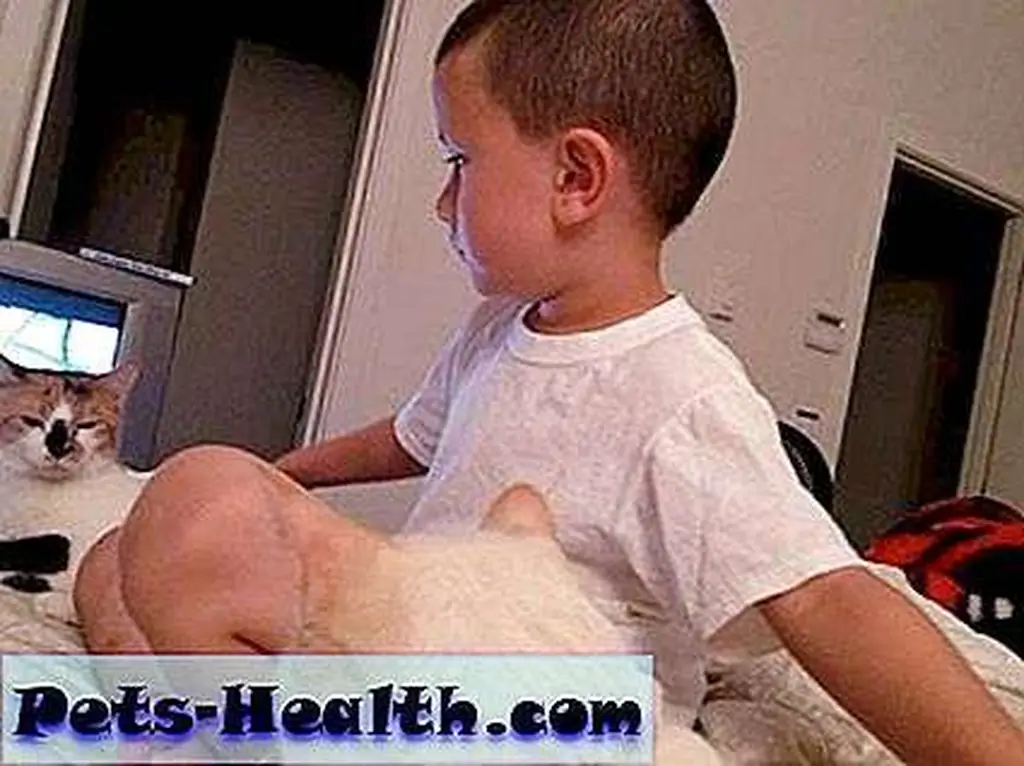 Justin with Jasmine and Oliver. He calls Jasmine his kitty mommy. (Photo by Kezia Willingham) Justin with Jasmine and Oliver. He calls Jasmine his kitty mommy. (Photo by Kezia Willingham)