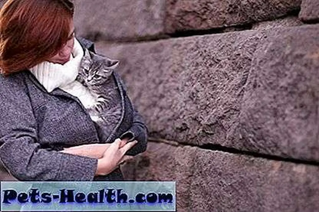 Girl with a kitten by Shutterstock.com Girl with a kitten by Shutterstock.com