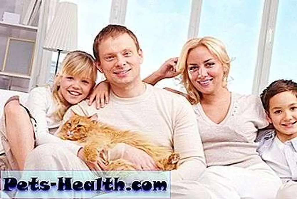 Family and cat sharing a sofa by Shutterstock Family and cat sharing a sofa by Shutterstock