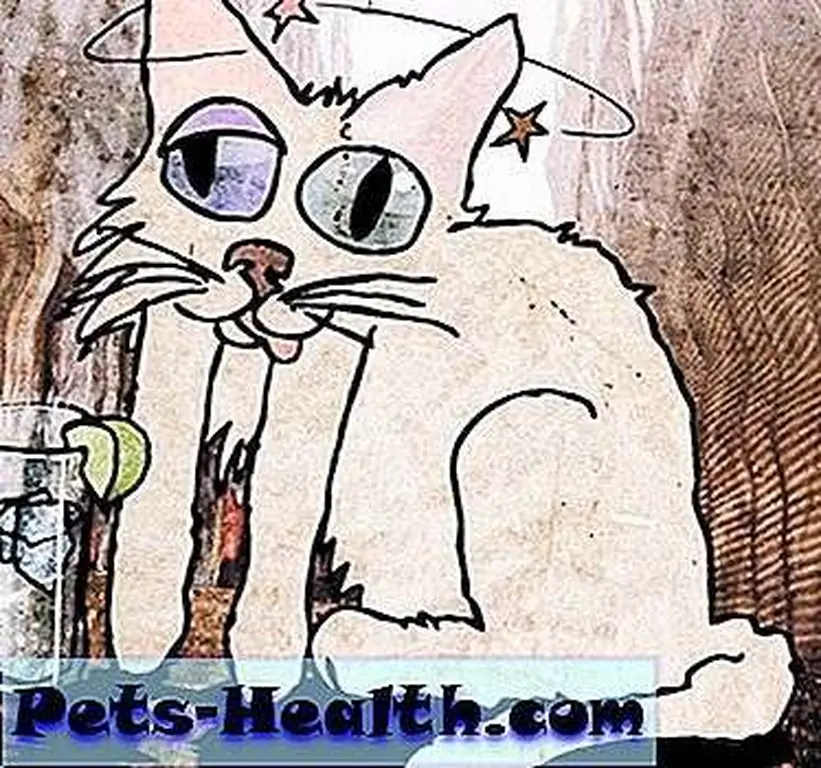 Catatonic by David Yow Catatonic by David Yow