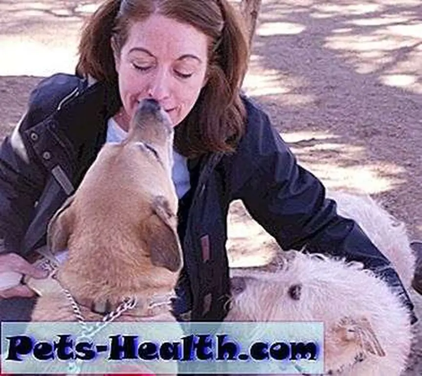Getting love from Daisy (left) and another happy dog-park dog.