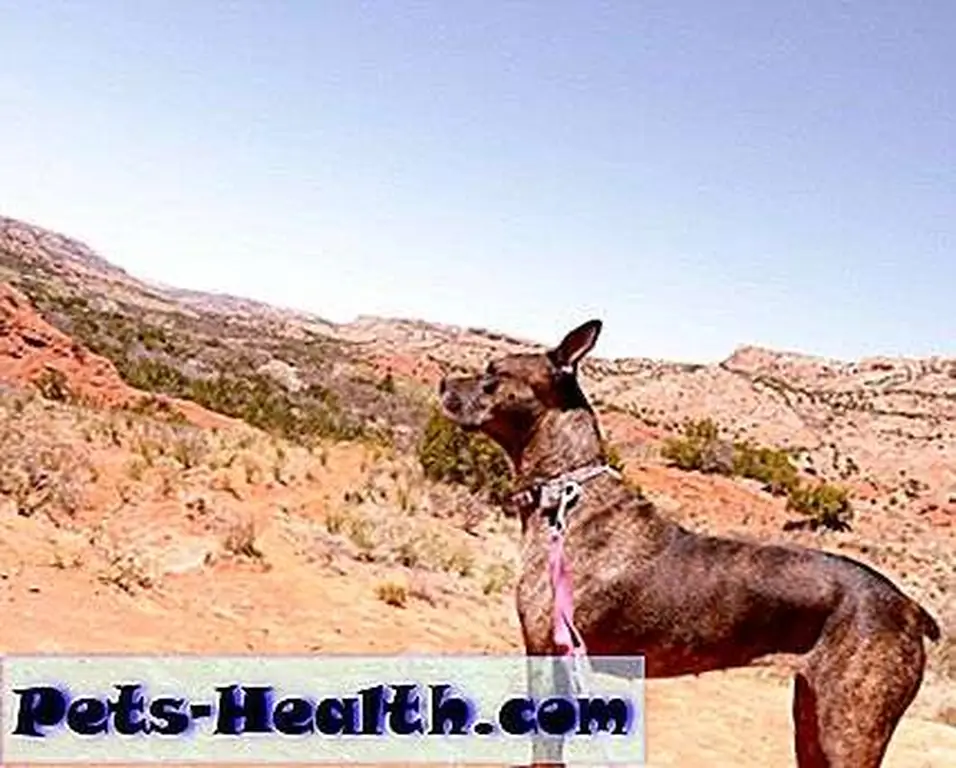 The world sure is big!