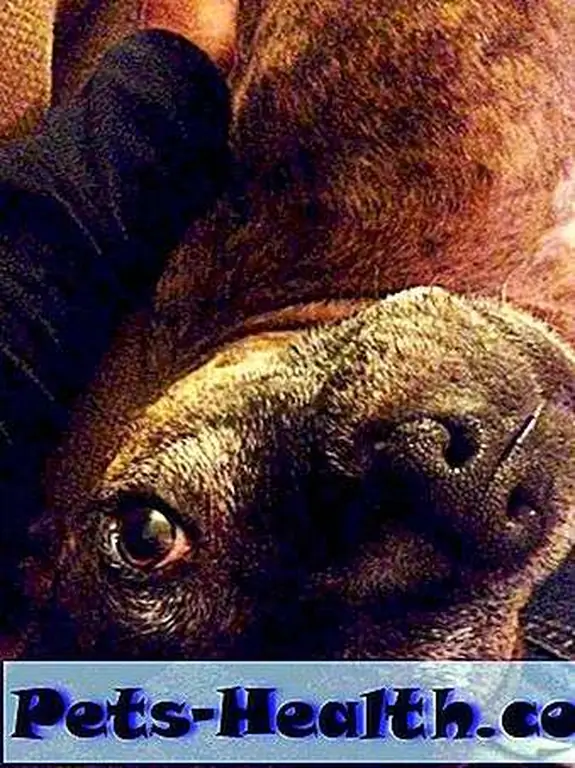 Don't worry. I forgive you.