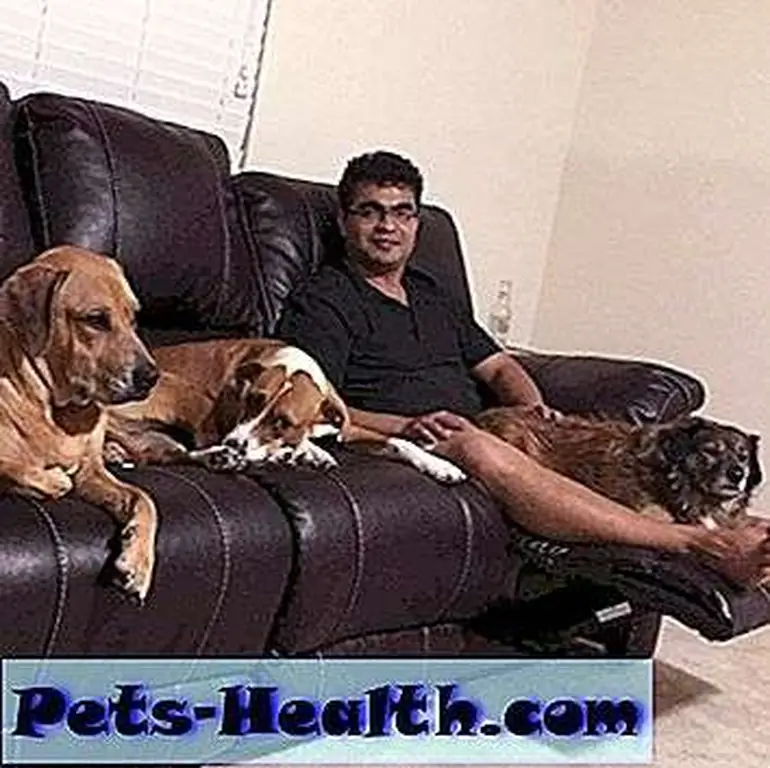 Image Image