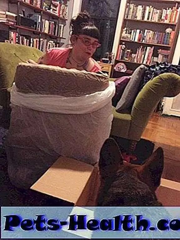 Image Image