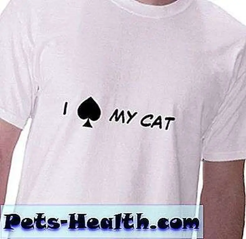spayed-shirt spayed-shirt
