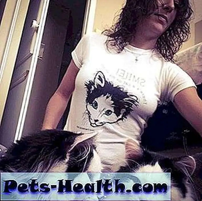 Artist Tina Modugno sells t-shirts bearing Oreo's likeness and donates the proceeds to animal shelters in Quebec. Artist Tina Modugno sells t-shirts bearing Oreo's likeness and donates the proceeds to animal shelters in Quebec.