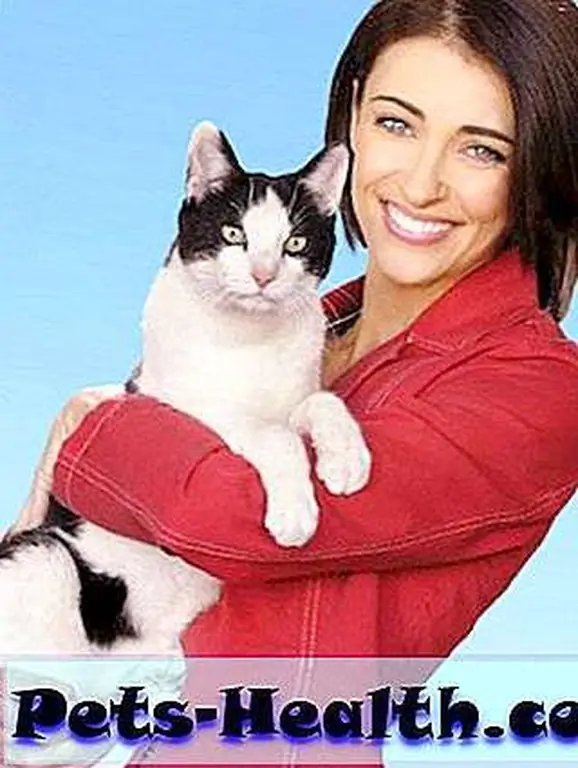 drkatrina drkatrina