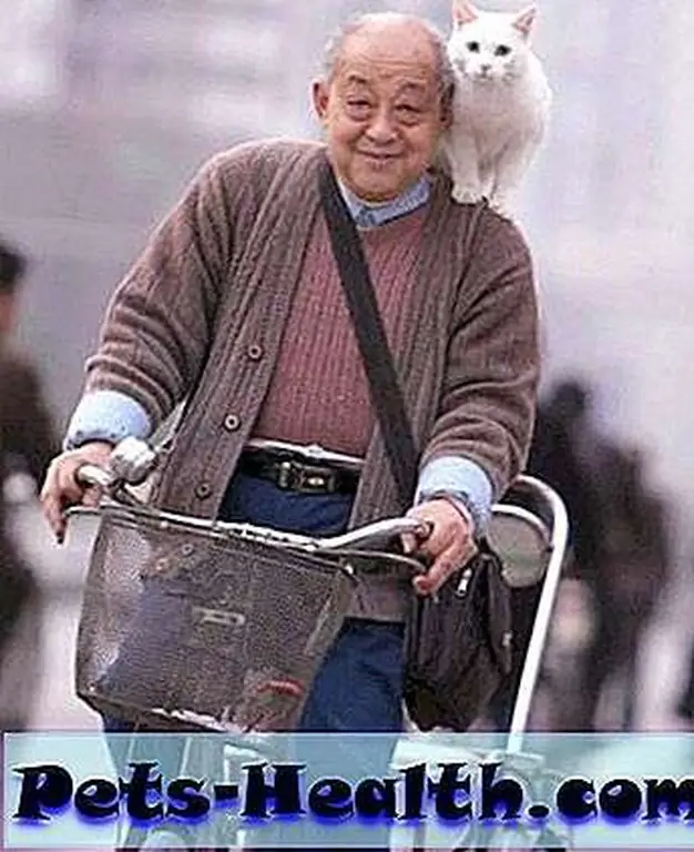 28JAN-elderly-man-with-cat-on-bicycle 28JAN-elderly-man-with-cat-on-bicycle