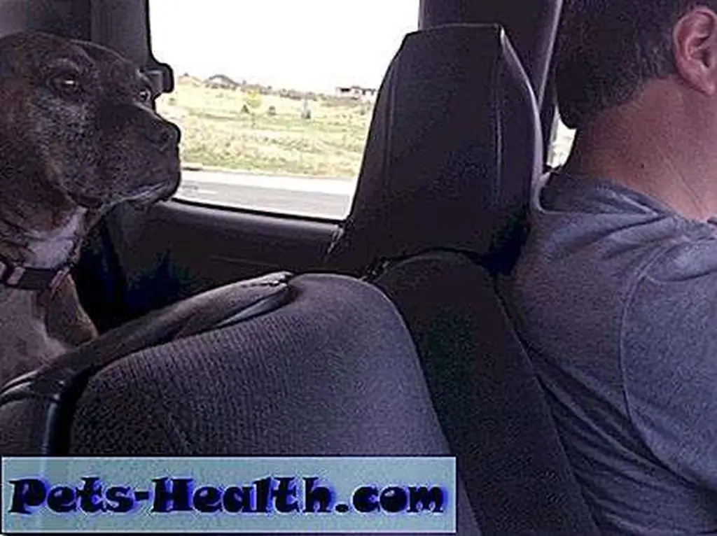 Mayzie feels it's safer to keep your head inside.