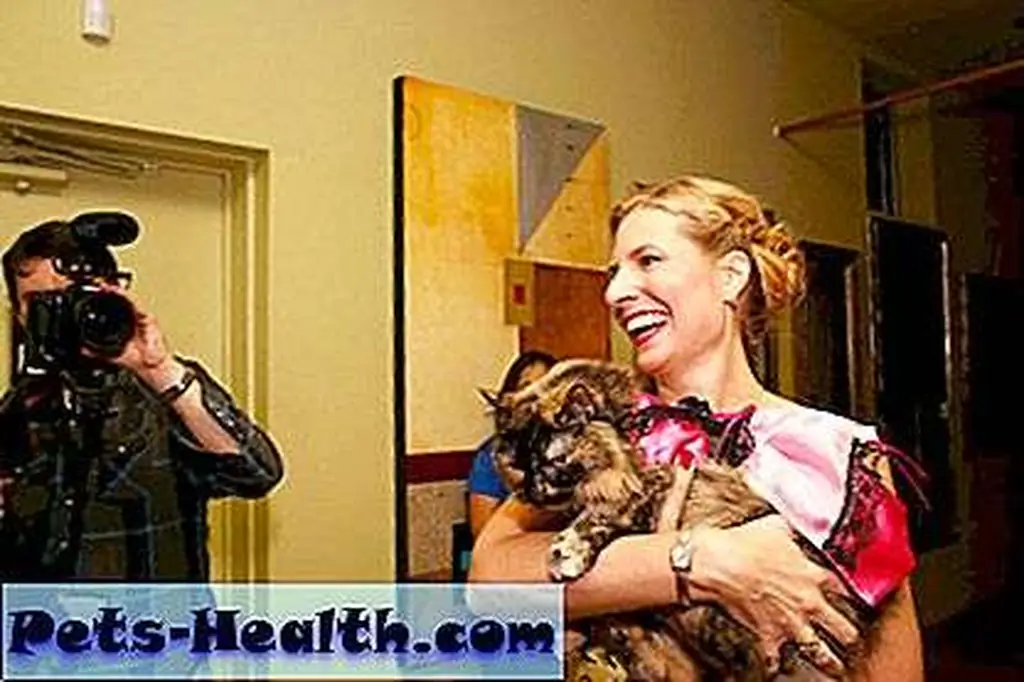 Cleo and Deborah are local celebrities. Cleo and Deborah are local celebrities.