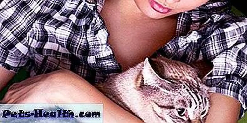 Identify a safe room where you and your cat will have maximum shelter from a tornado. Woman with a cat by Shutterstock.com Identify a safe room where you and your cat will have maximum shelter from a tornado. Woman with a cat by Shutterstock.com