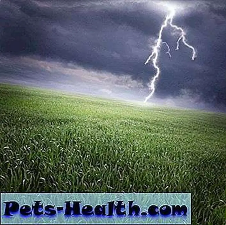 Thunderstorm over a field by Shutterstock Thunderstorm over a field by Shutterstock