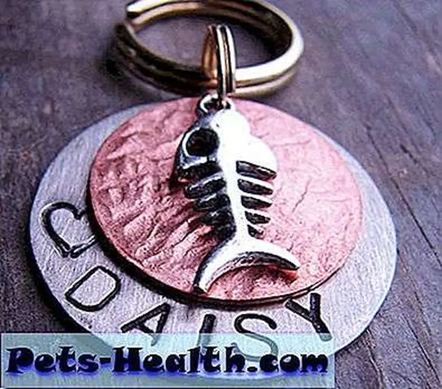ID tags include creative ones such as this or just basic plastic. ID tags include creative ones such as this or just basic plastic.