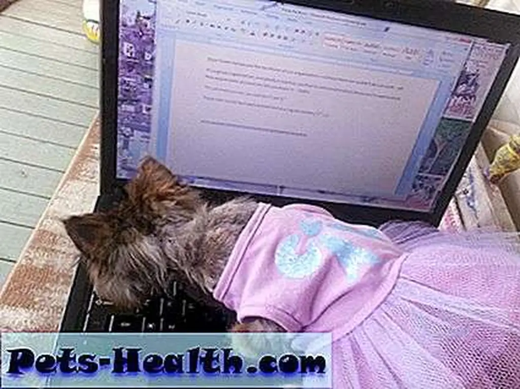 Freida checks my work, and does a little copy editing of her own. Freida checks my work, and does a little copy editing of her own.