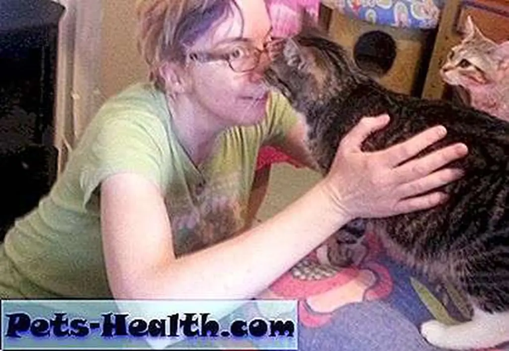 I took a tour of this Forgotten Felines foster home, which included an episode of head-bumping, nose-rubbing love bombing by some kitties looking for their forever homes. I took a tour of this Forgotten Felines foster home, which included an episode of head-bumping, nose-rubbing love bombing by some kitties looking for their forever homes.