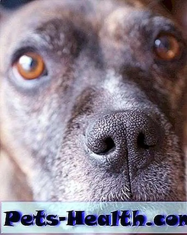 Look deep into my eyes and take me home.