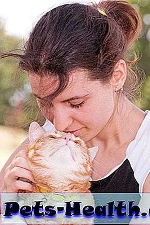 Some things just can't be helped. Love your kitties while you have them. Photo: Beautiful girl with her cat, a special moment of affection between friends by Shutterstock Some things just can't be helped. Love your kitties while you have them. Photo: Beautiful girl with her cat, a special moment of affection between friends by Shutterstock