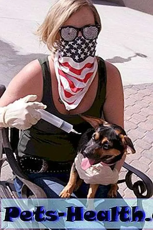 Some people definitely take hating dogs too far. Dog, woman, and wheelchair by Shutterstock Some people definitely take hating dogs too far. Dog, woman, and wheelchair by Shutterstock