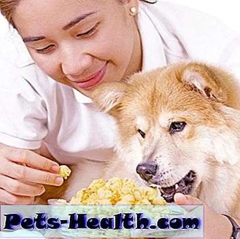 Woman and dog enjoying a bowl of popcorn by Shutterstock Woman and dog enjoying a bowl of popcorn by Shutterstock