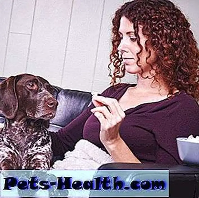 Woman giving her dog popcorn by Shutterstock Woman giving her dog popcorn by Shutterstock