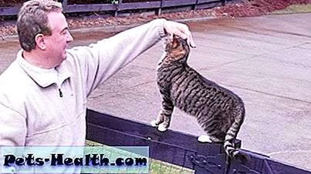 I'll decide when I'm done letting you pet me. I'll decide when I'm done letting you pet me.