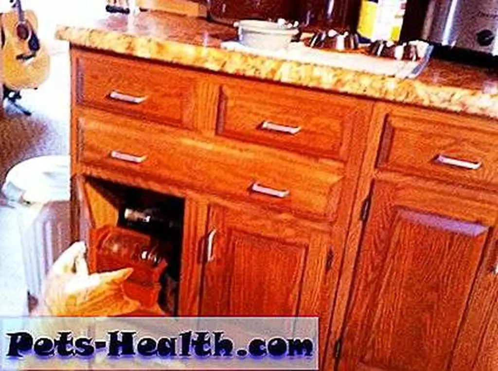 Norton wraps his paws around a handle and pulls a door open. Norton wraps his paws around a handle and pulls a door open.