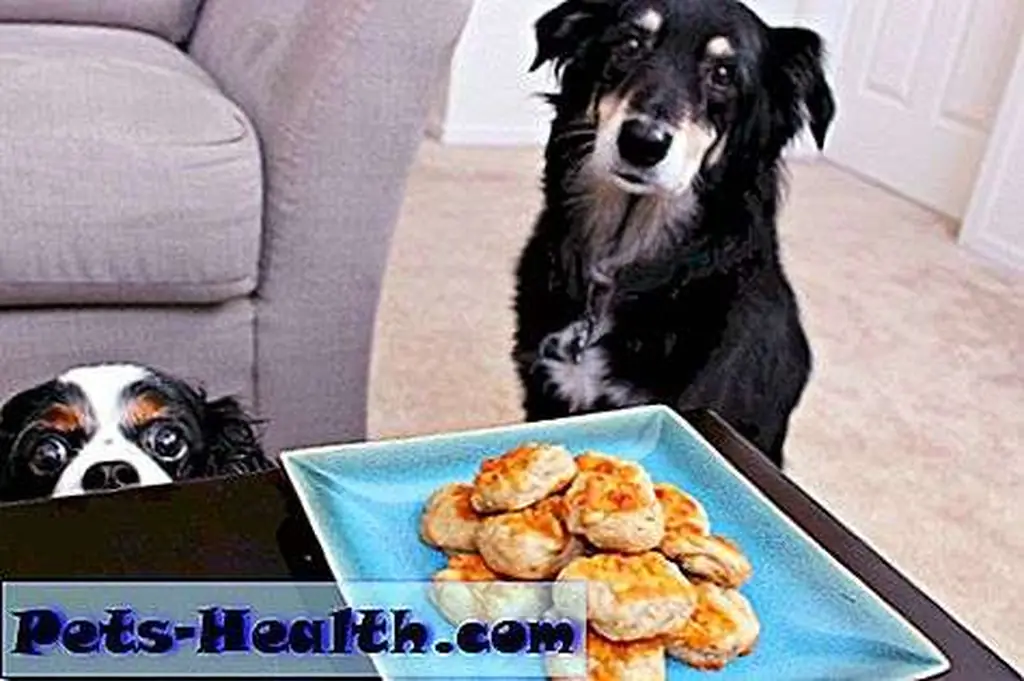 Kira tries to play it cool; Angie barely keeps it together.