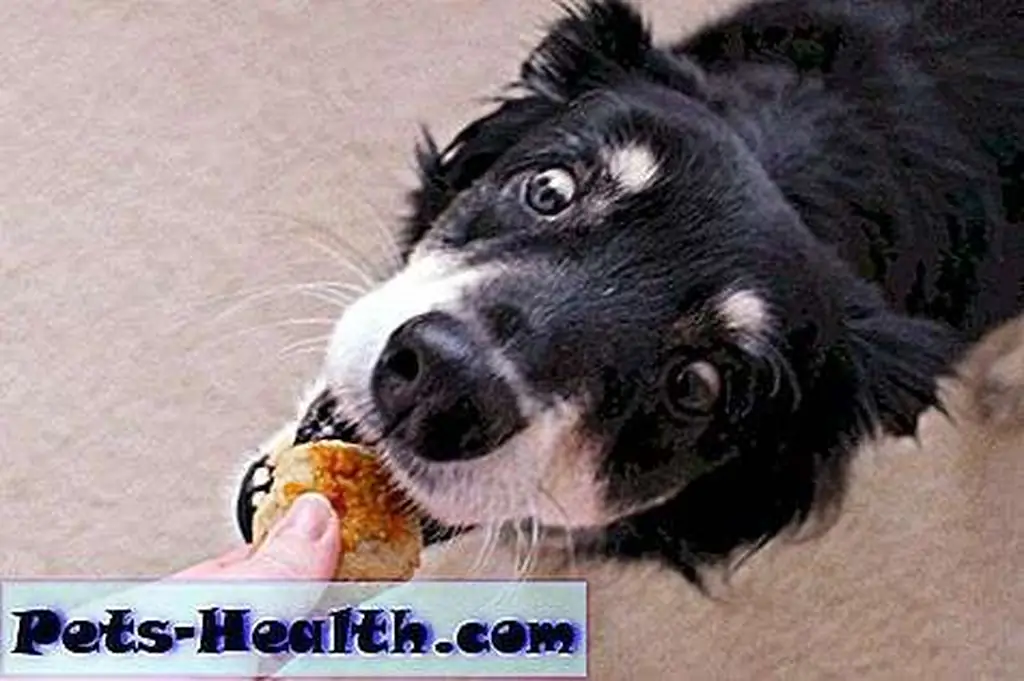 The cool facade crumbles.