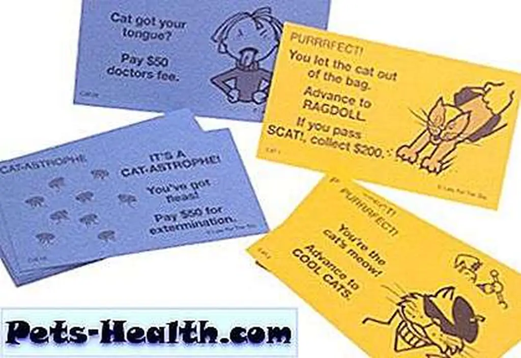 The purrrfect game for a rainy day inside. The purrrfect game for a rainy day inside.