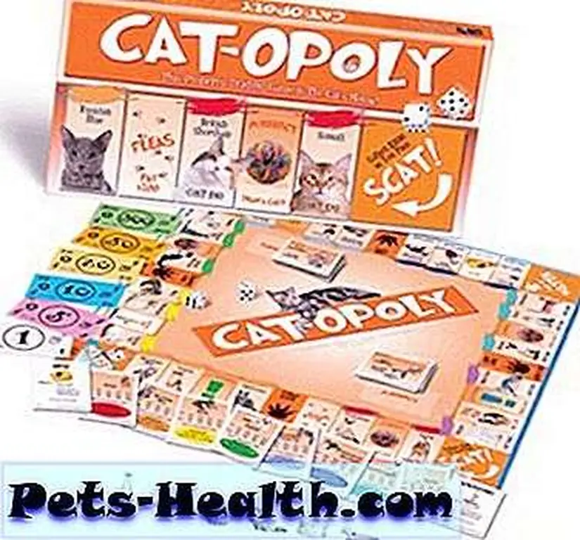 Everyone wins when there are cats involved! Everyone wins when there are cats involved!