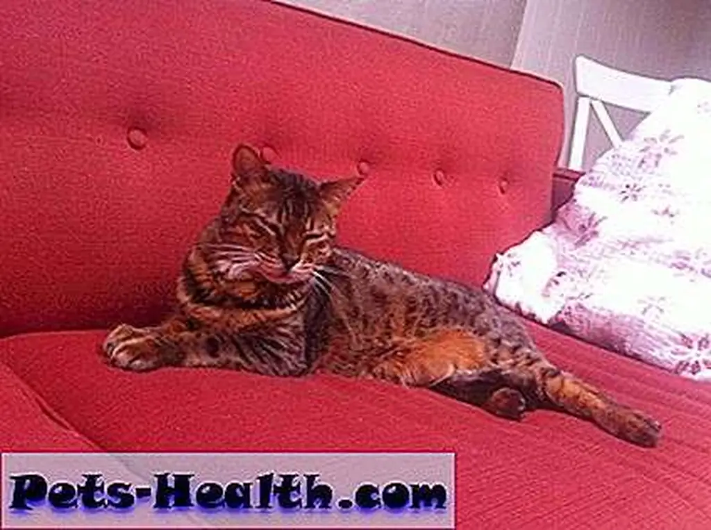 Just right, for now.