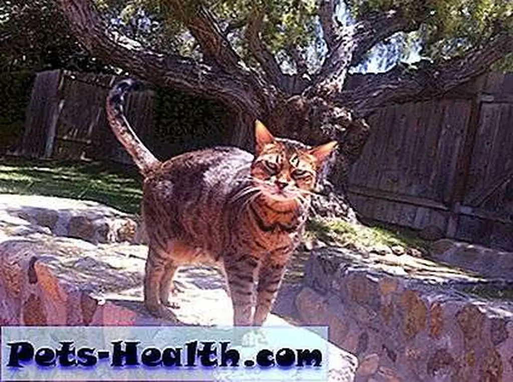 This is last time we move, hotshot.