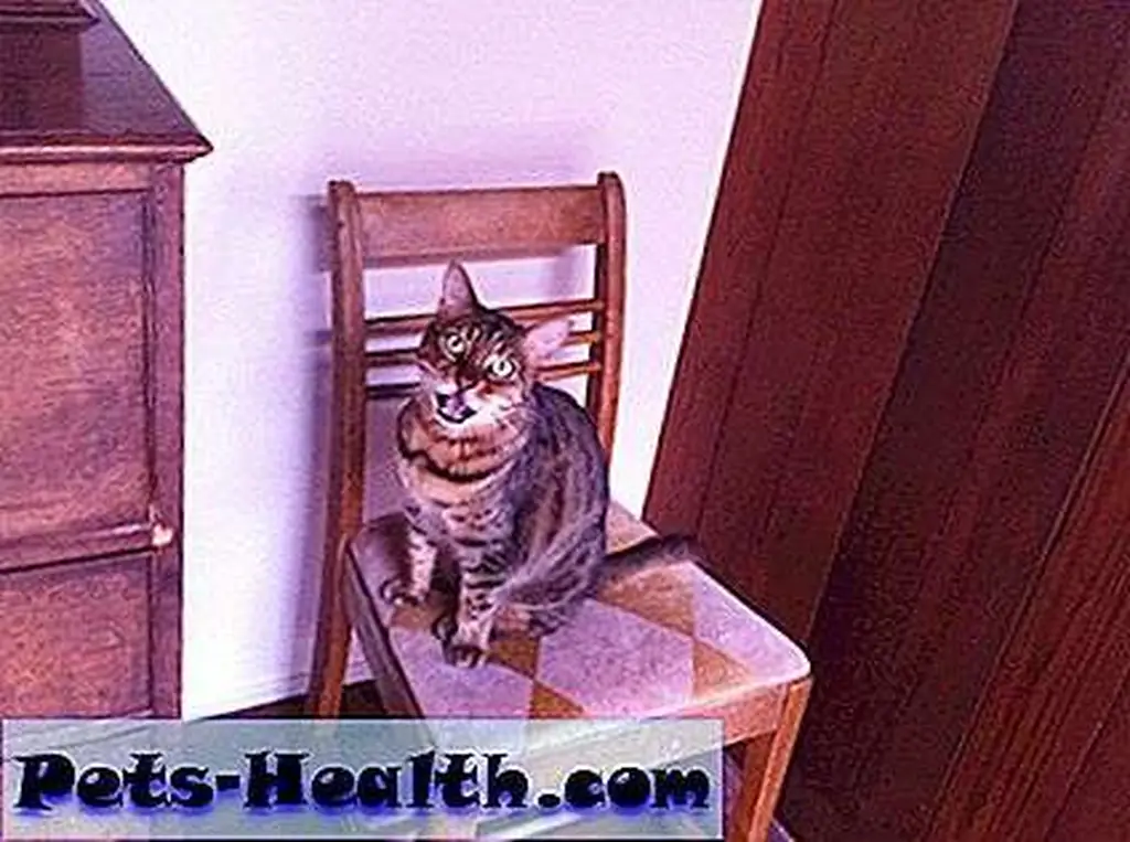 What is this place? How did my chair get here?