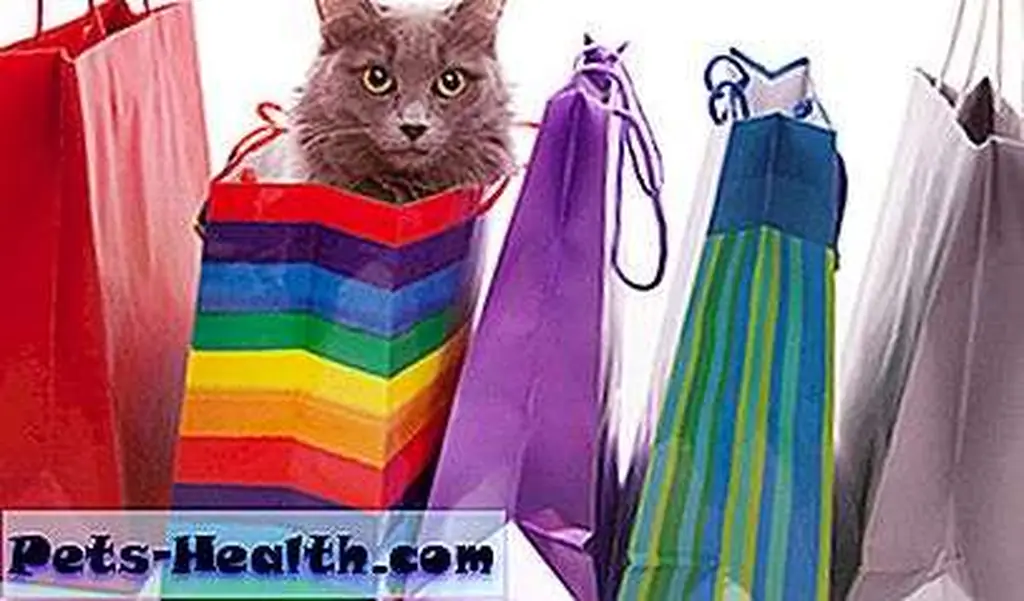 Cat in bag via Shutterstock.com. Cat in bag via Shutterstock.com.