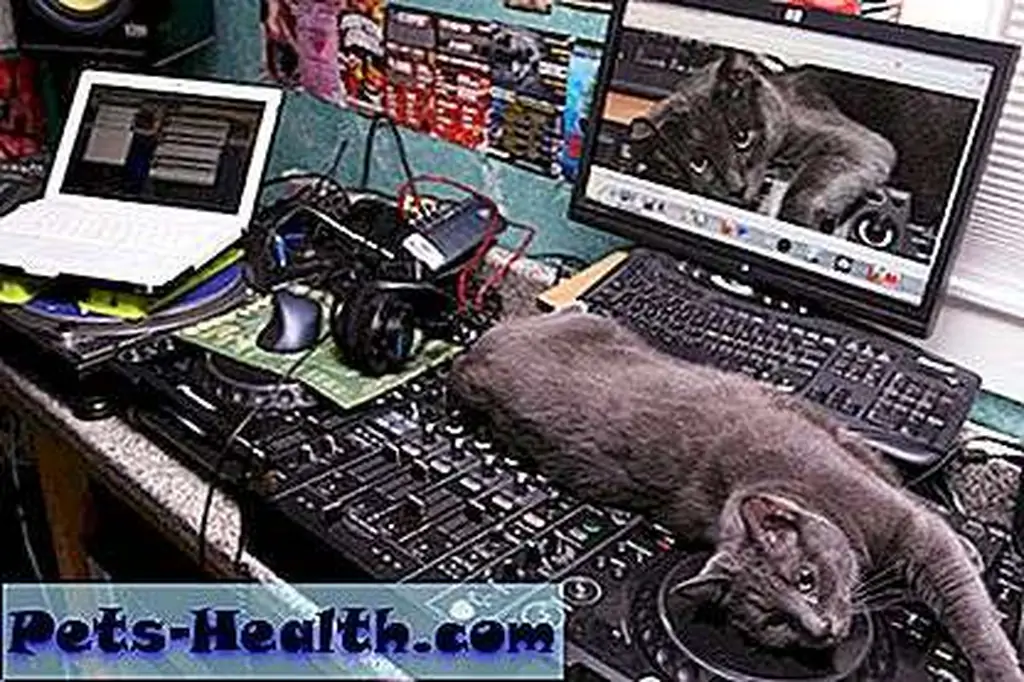 Sleep on expensive electronics  and stare at your own face too. Indulgent narcissism at its best. Photo by Dan Correia Sleep on expensive electronics  and stare at your own face too. Indulgent narcissism at its best. Photo by Dan Correia