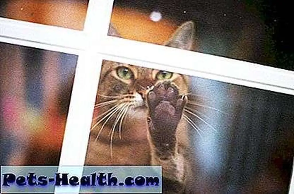 Jelly bean toes! If I did this, people would be like, Jelly bean toes! If I did this, people would be like,