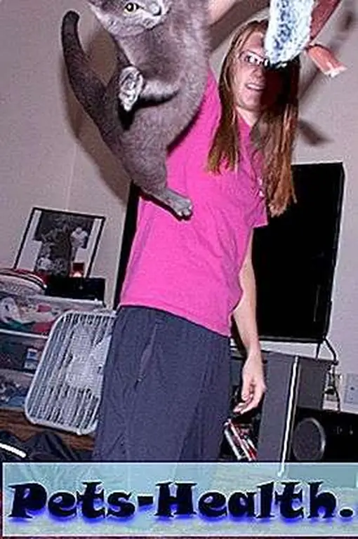 I will bet you $100 that cat stuck that jump like an Olympic gymnast. Photo by rocketjim54 I will bet you $100 that cat stuck that jump like an Olympic gymnast. Photo by rocketjim54