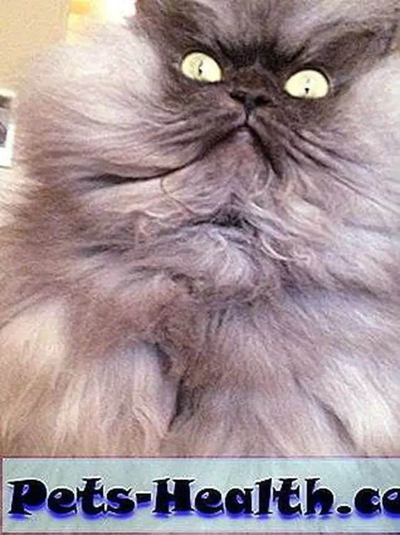 What can we even begin to say about this face?