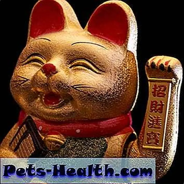 Maneki Neko cat by Shutterstock