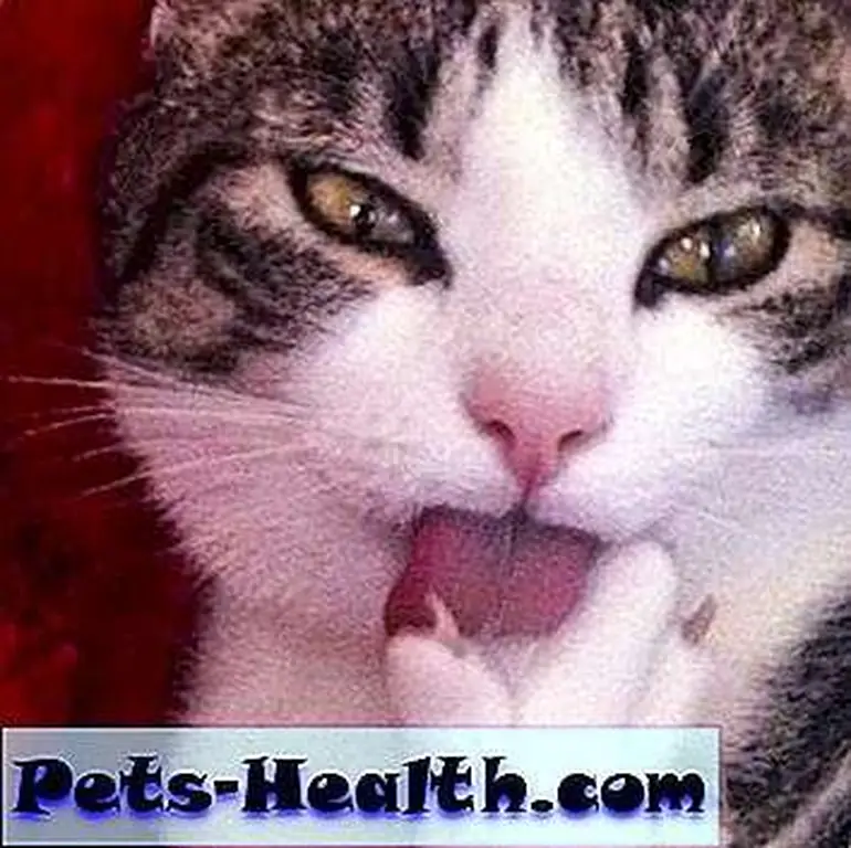 Image Image