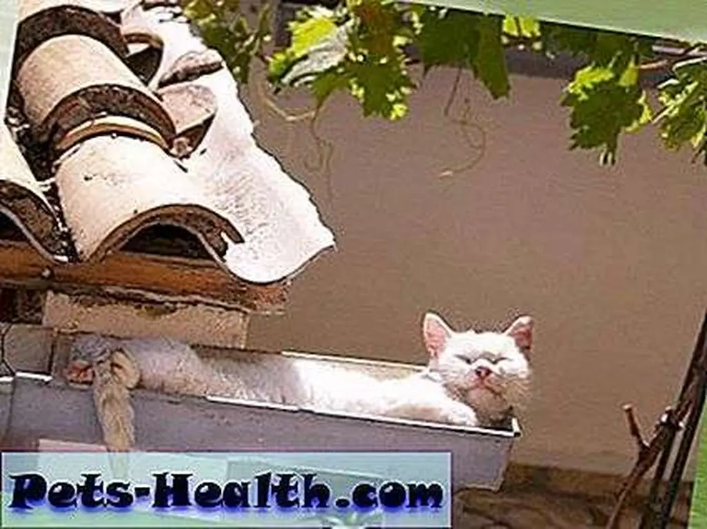 Pot luck snooze!