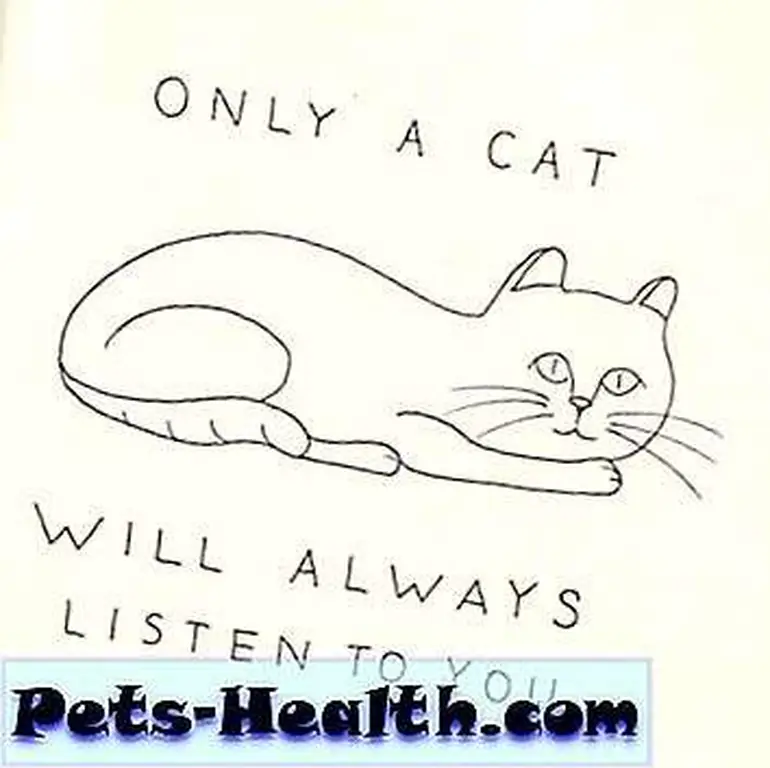 Is the cat REALLY listening? Is the cat REALLY listening?