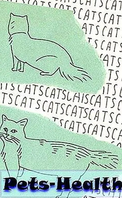 Cats and cats and cats and cats and  Cats and cats and cats and cats and 