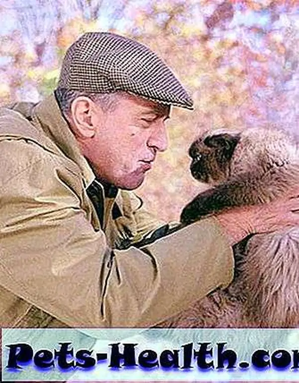 De Niro and Jinx De Niro and Jinx