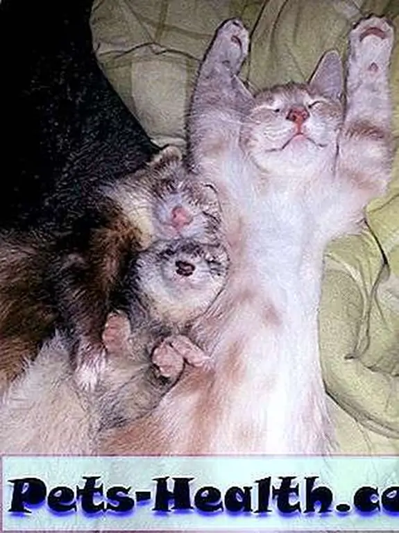 Ahhh! Life is good! Ahhh! Life is good!